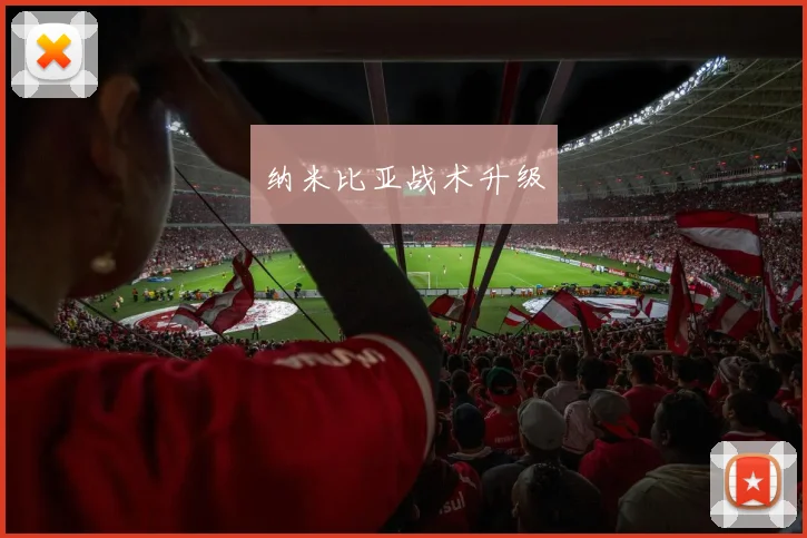 纳米比亚战术升级